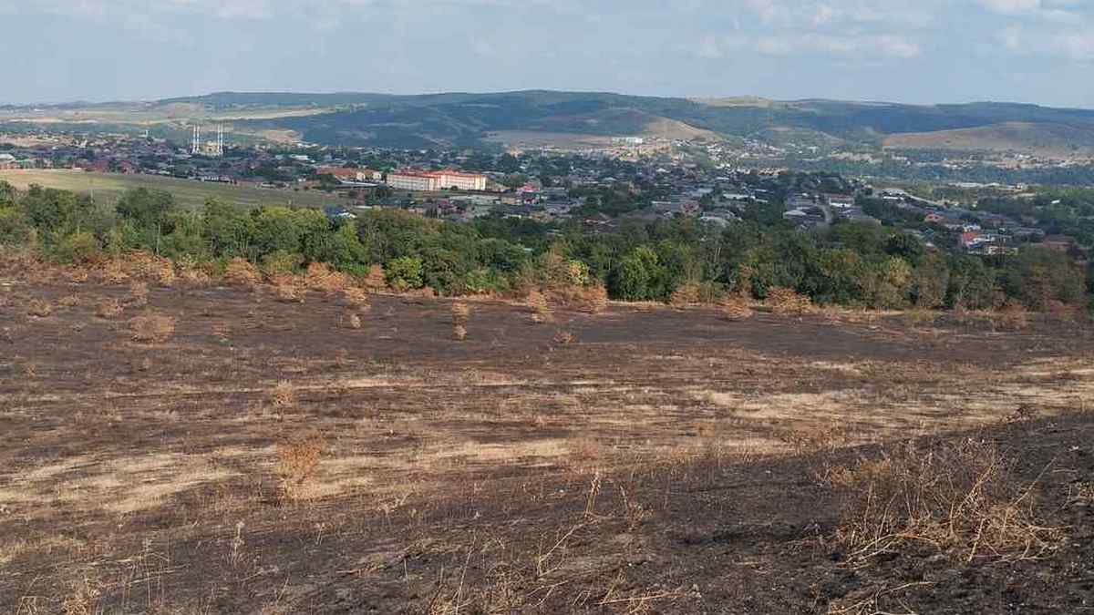 Новости Ингушетии: Изучая природу, жители Ингушетии заботятся о ее сохранности