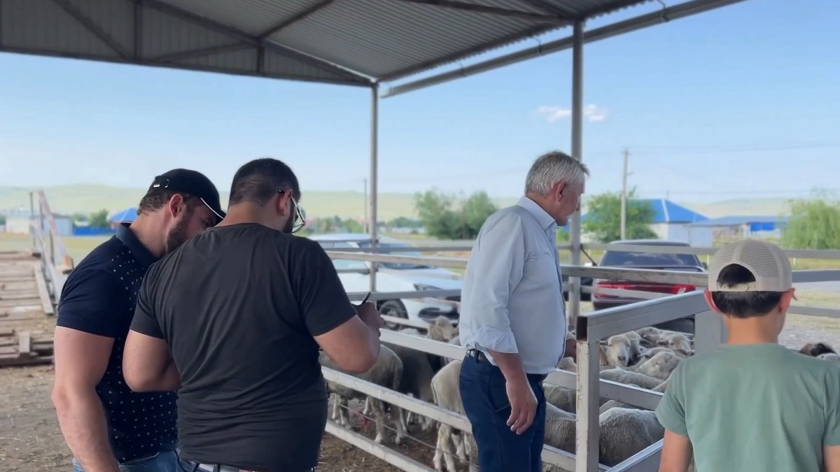 Новости Ингушетии: Более 100 семей из Сунжи смогут присоединиться к празднику Ид аль-Адха