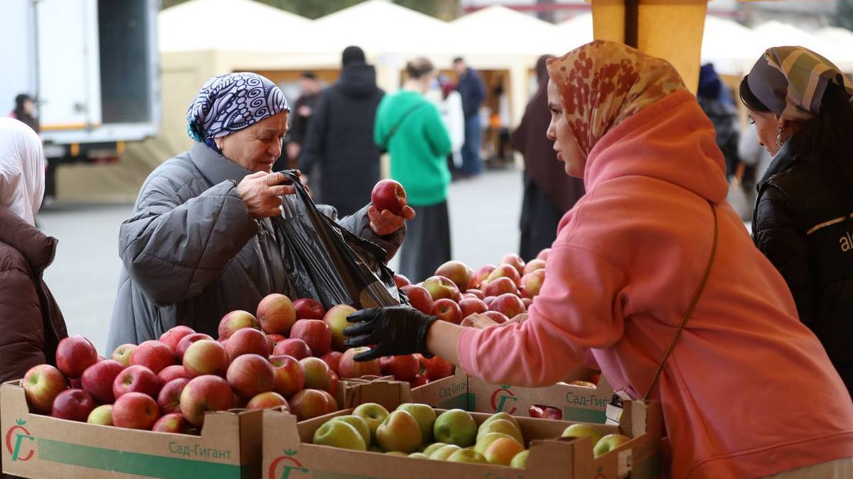 В Ингушетии контролируют рост цен на продовольствие