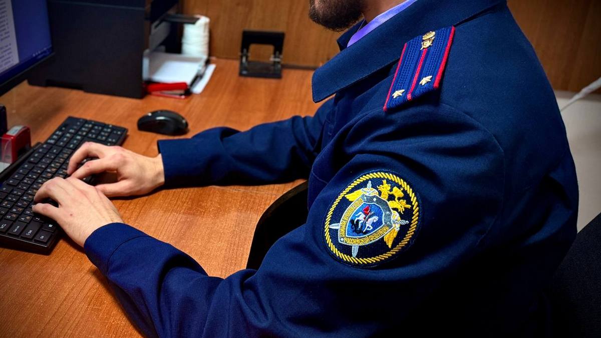 Жительница Ингушетии предстанет перед судом за мошенничество с соцвыплатами