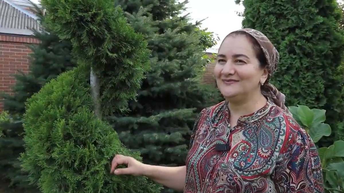 Новости Ингушетии: С любовью все получится