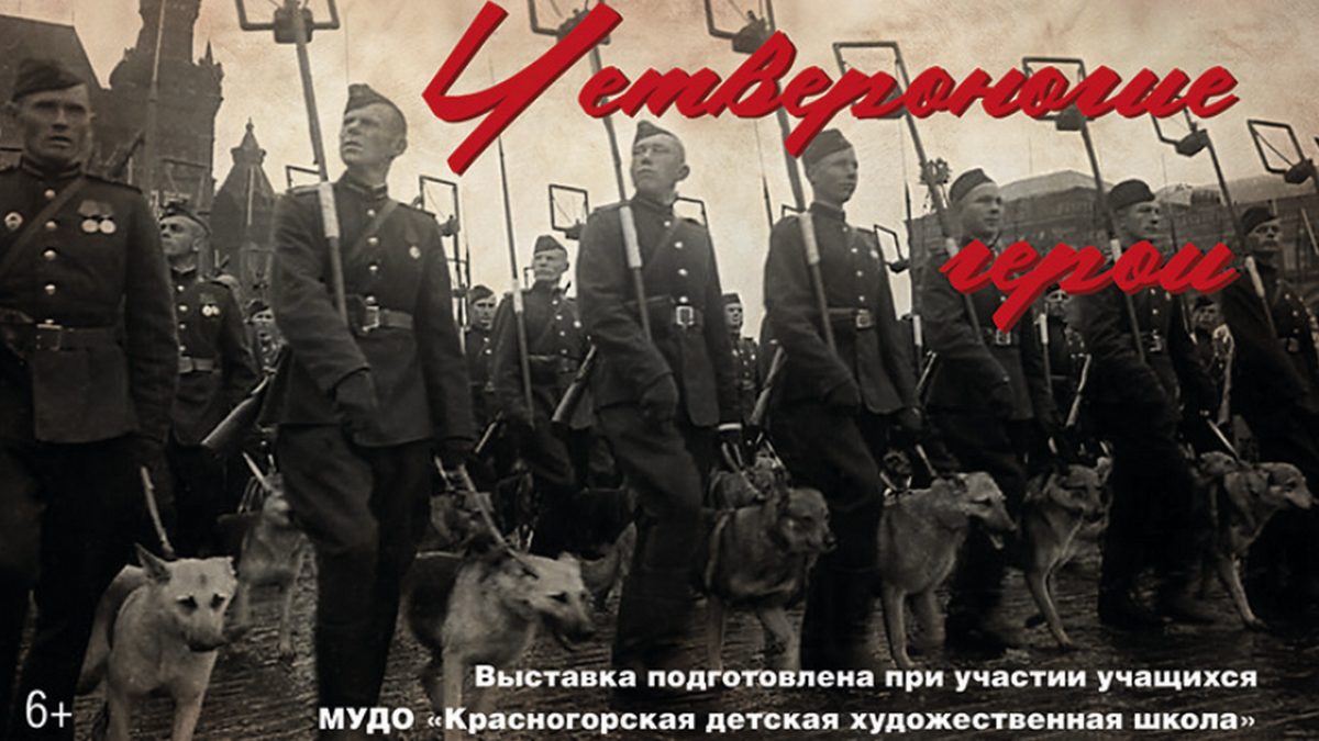 Жители Ингушетии увидят выставку Музея Победы о подвигах служебных собак