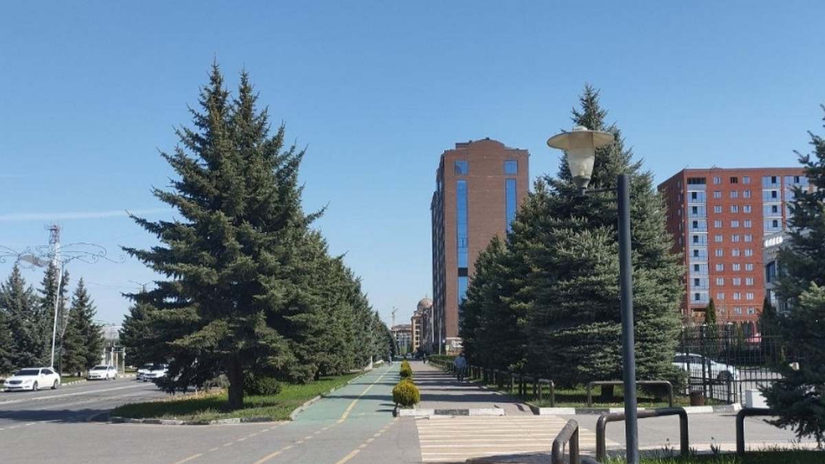 Новости Ингушетии: В Ингушетии красивые стихи поэтов могут украсить стены различных объектов