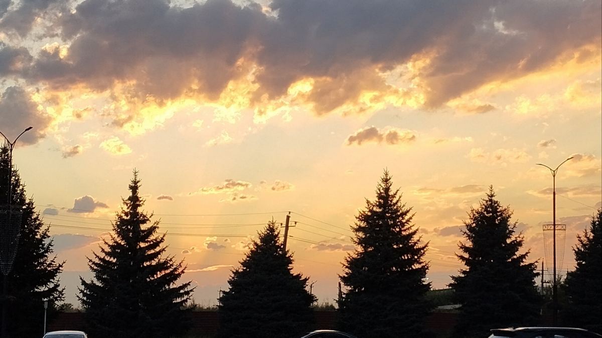 Новости Ингушетии: В Ингушетии усиливают противодействие распространению наркомании