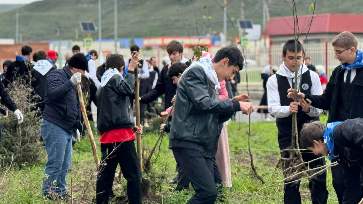 Новости Ингушетии: В селе Верхние Ачалуки Ингушетии высадили около 130 саженцев