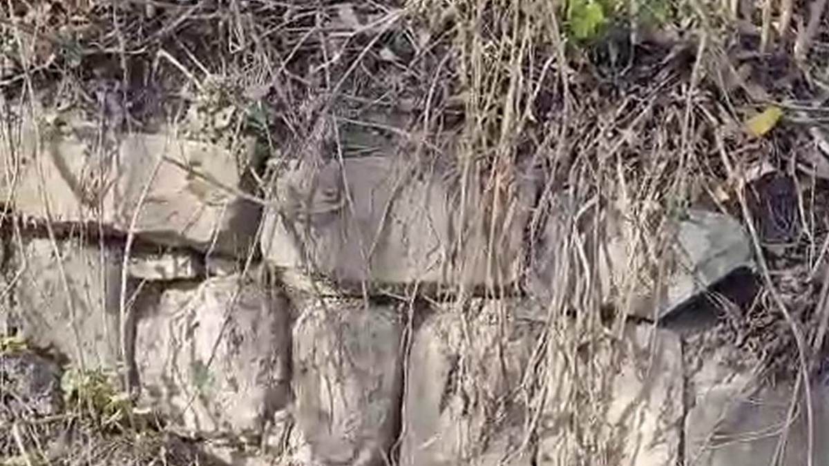 На заповедной территории Ингушетии обнаружена еще одна речная мельница