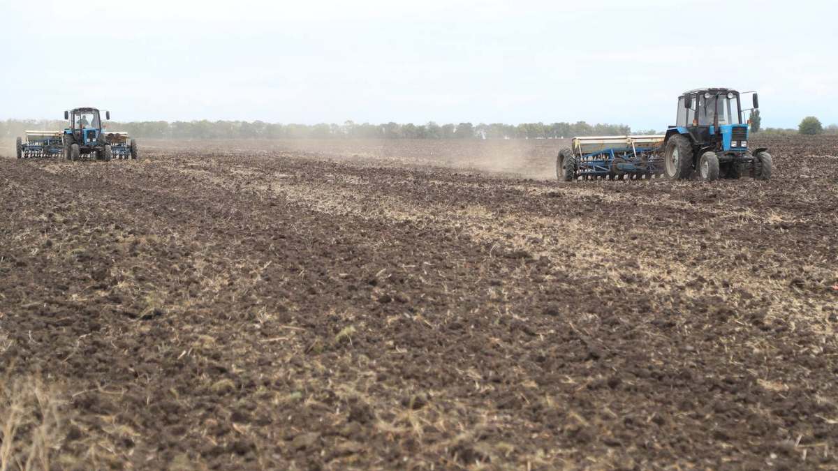 Новости Ингушетии: В Ингушетии через месяц стартует осенняя посевная кампания