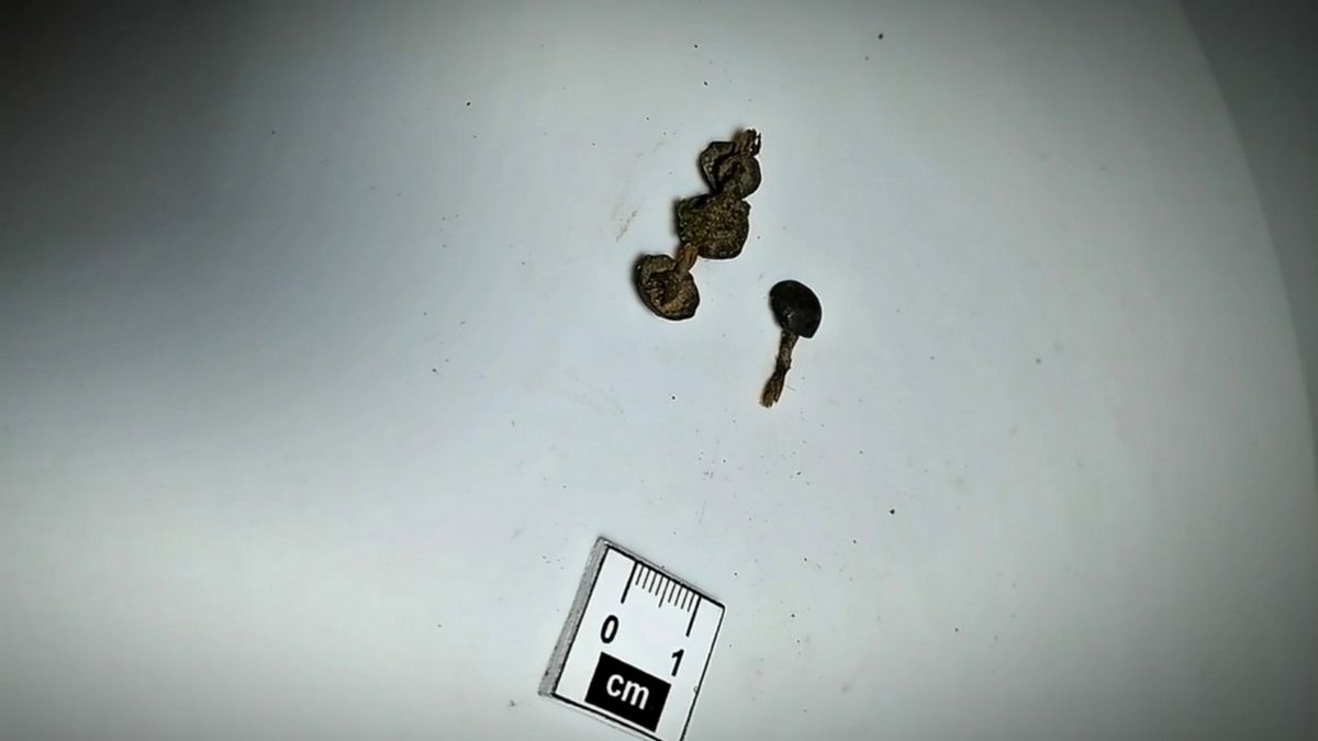 В Гирети Ингушетии найден ряд серебряных накладок