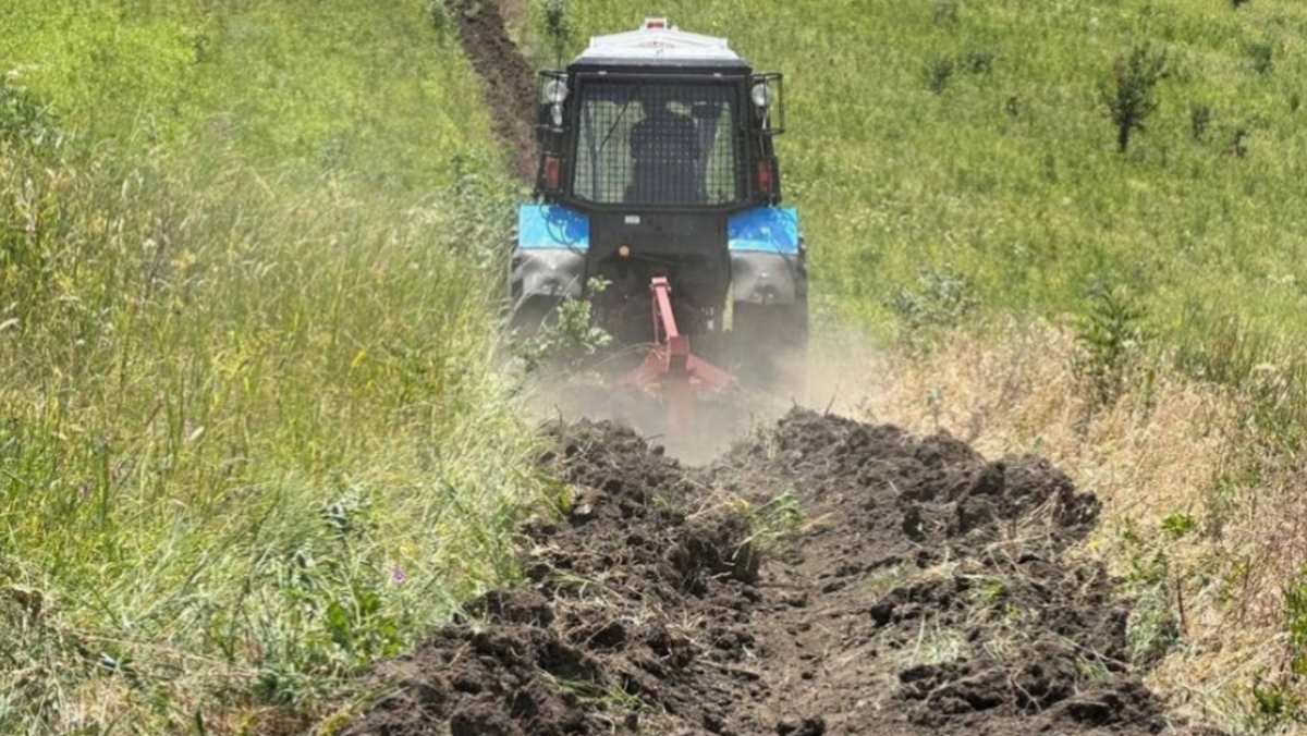 Минерализованные полосы спасают лес Ингушетии от огня