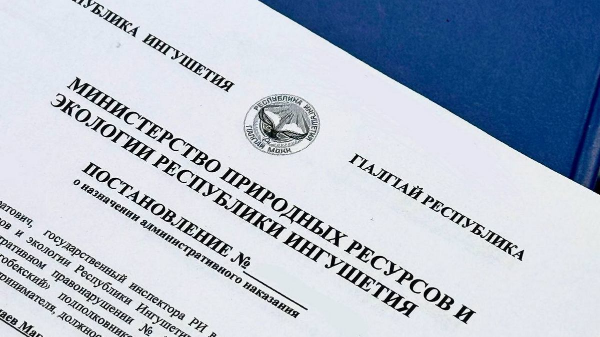 16 учебных заведений Ингушетии не предоставили отчеты об утилизации отходов