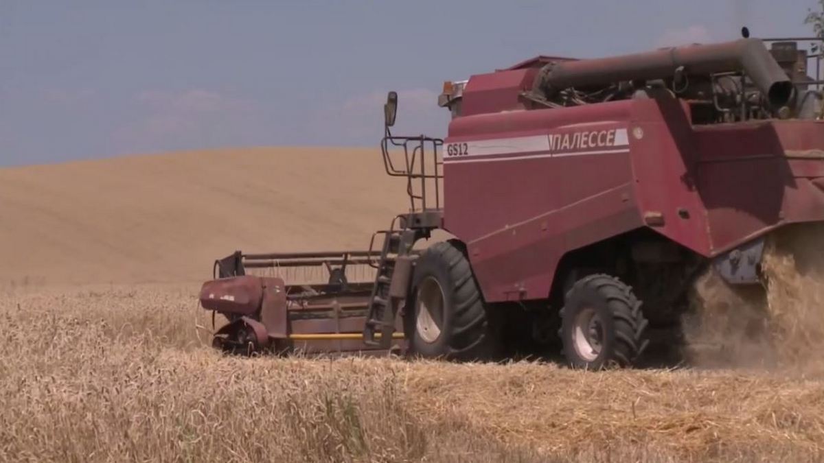 Новости Ингушетии: В Ингушетии озимая пшеница посеяна почти на 20 тысячах га