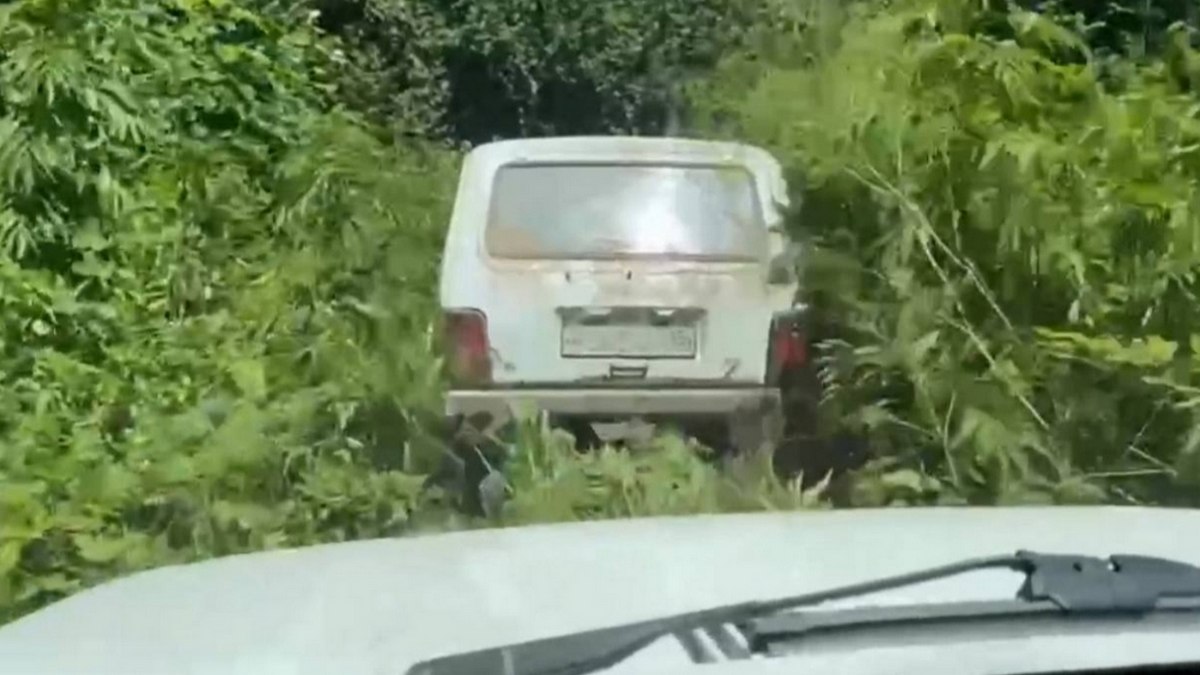 Новости Ингушетии: Егеря в Ингушетии контролируют строгое соблюдение правил охоты