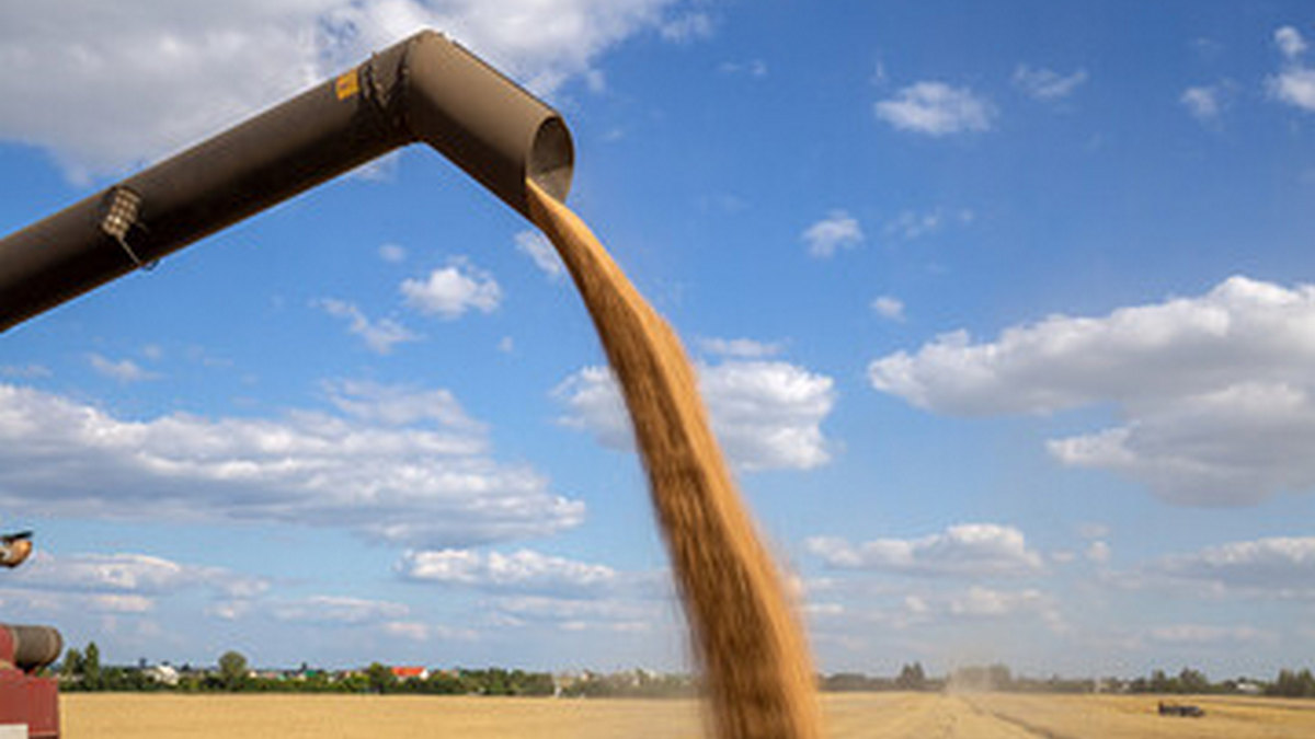 Комплексную работу  Россельхозцентра по Ингушетии отметили в республике