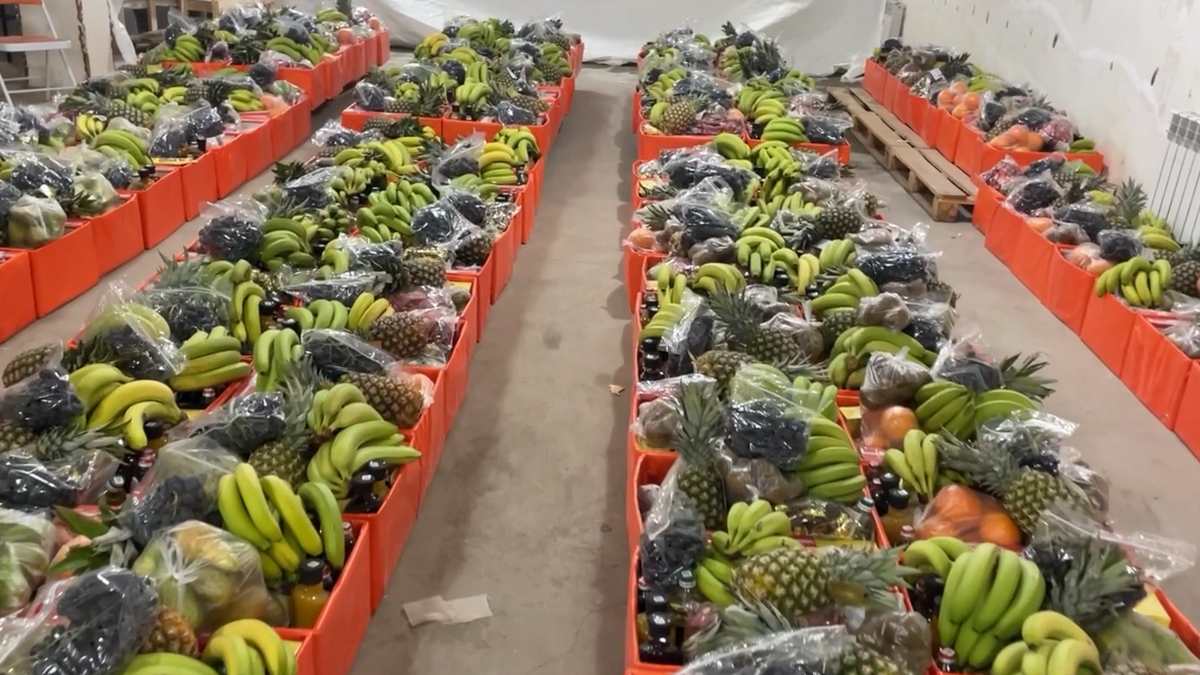 Новости Ингушетии: КДЛ Ингушетии передал продуктовые наборы более 200 семьям