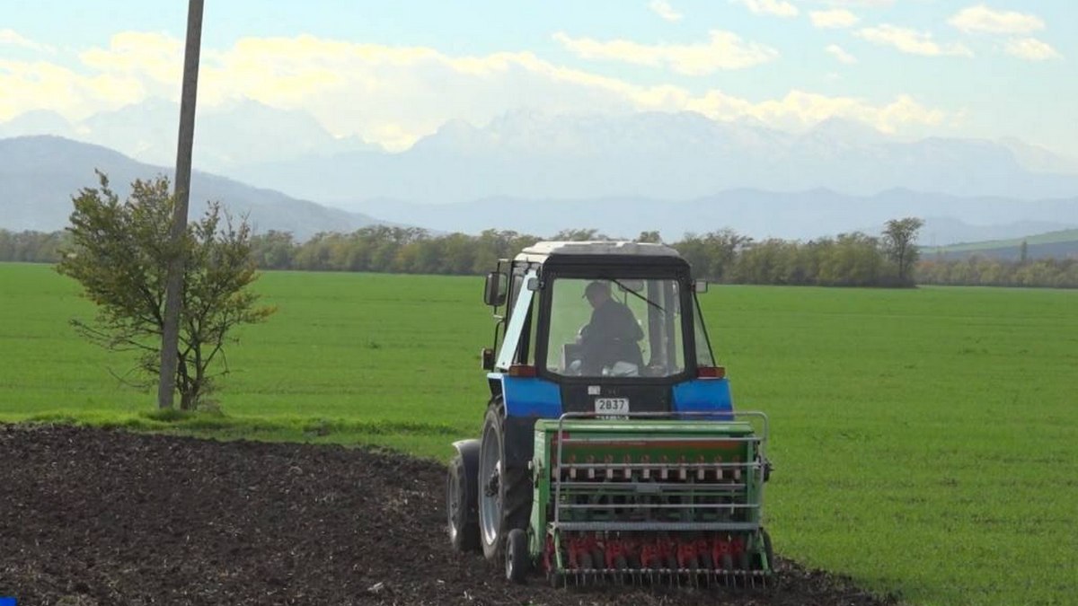 Ингушский РСЦ заложил демоопыты по озимым культурам