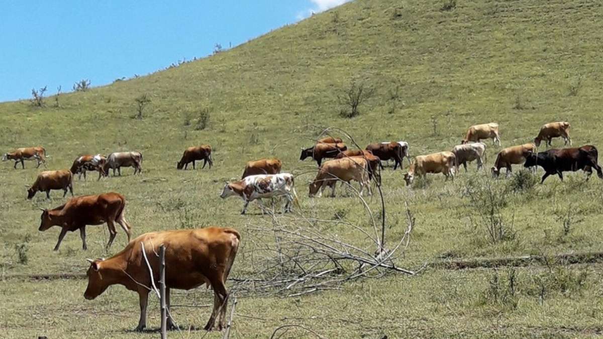 Фермерам Ингушетии напомнили о больших выгодах развития агротуризма
