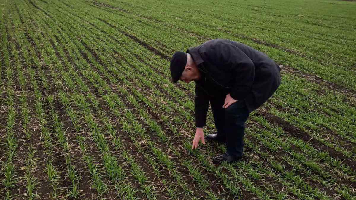 В Назрановском районе Ингушетии проведен фитосанитарный мониторинг