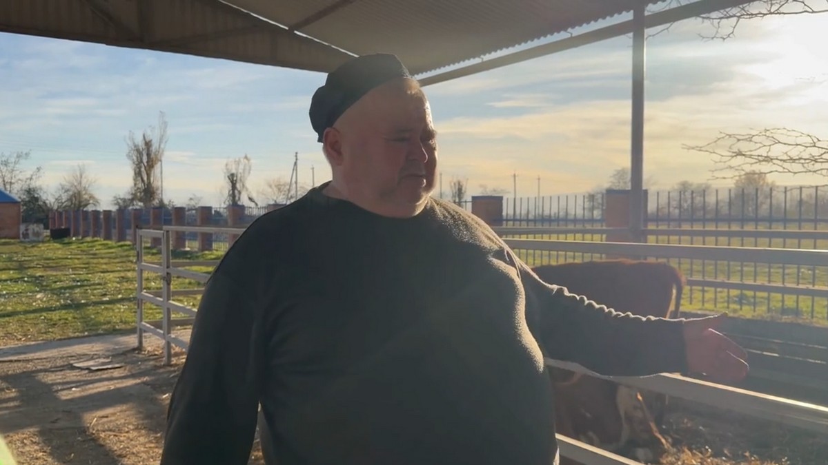 Новости Ингушетии: В Сунже задержали 8 голов скота, бесконтрольно разгуливавших на улице