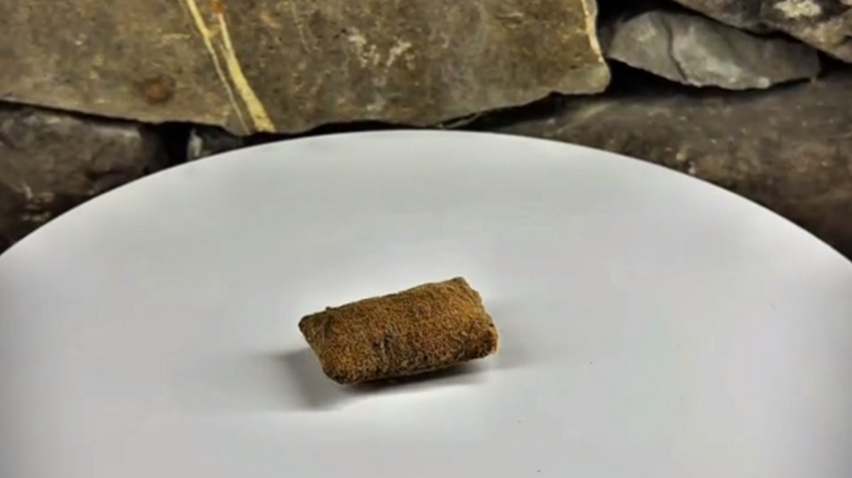 В Гирети Ингушетии археологи обнаружили игольницу небольшого размера